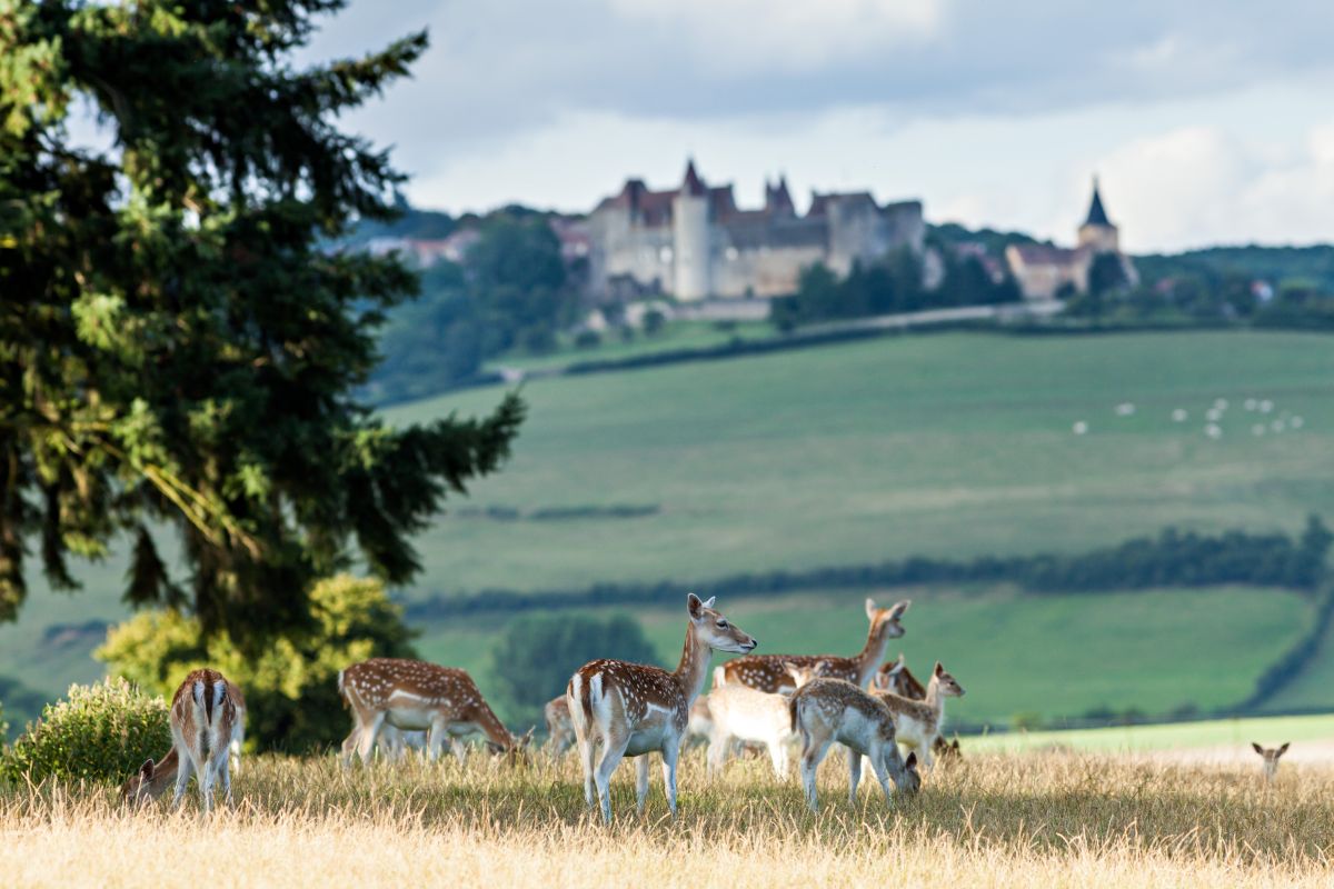 photo principale du coffret